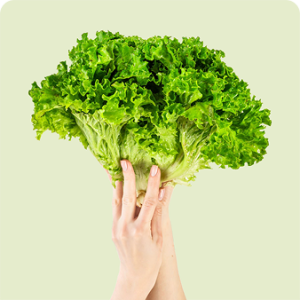 Fresh Farm Produce
